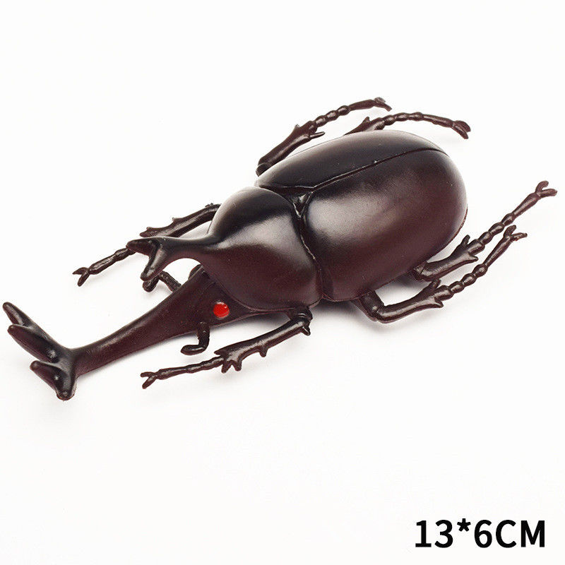 OEM usine personnalisée Modèle réaliste Simulation d'insecte Jouet de jardin d'enfants