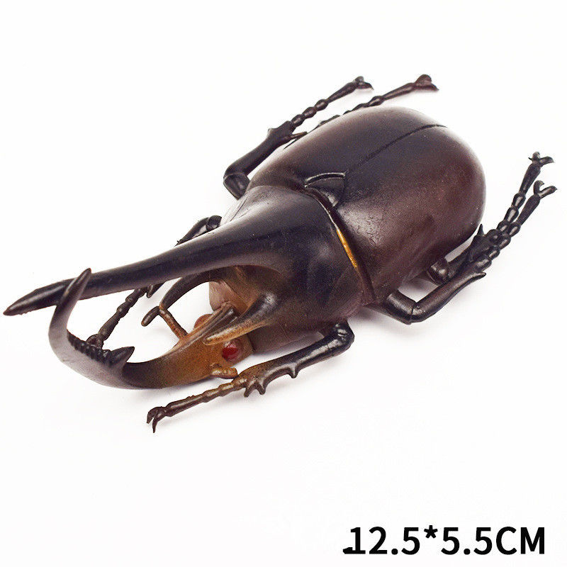 OEM usine personnalisée Modèle réaliste Simulation d'insecte Jouet de jardin d'enfants